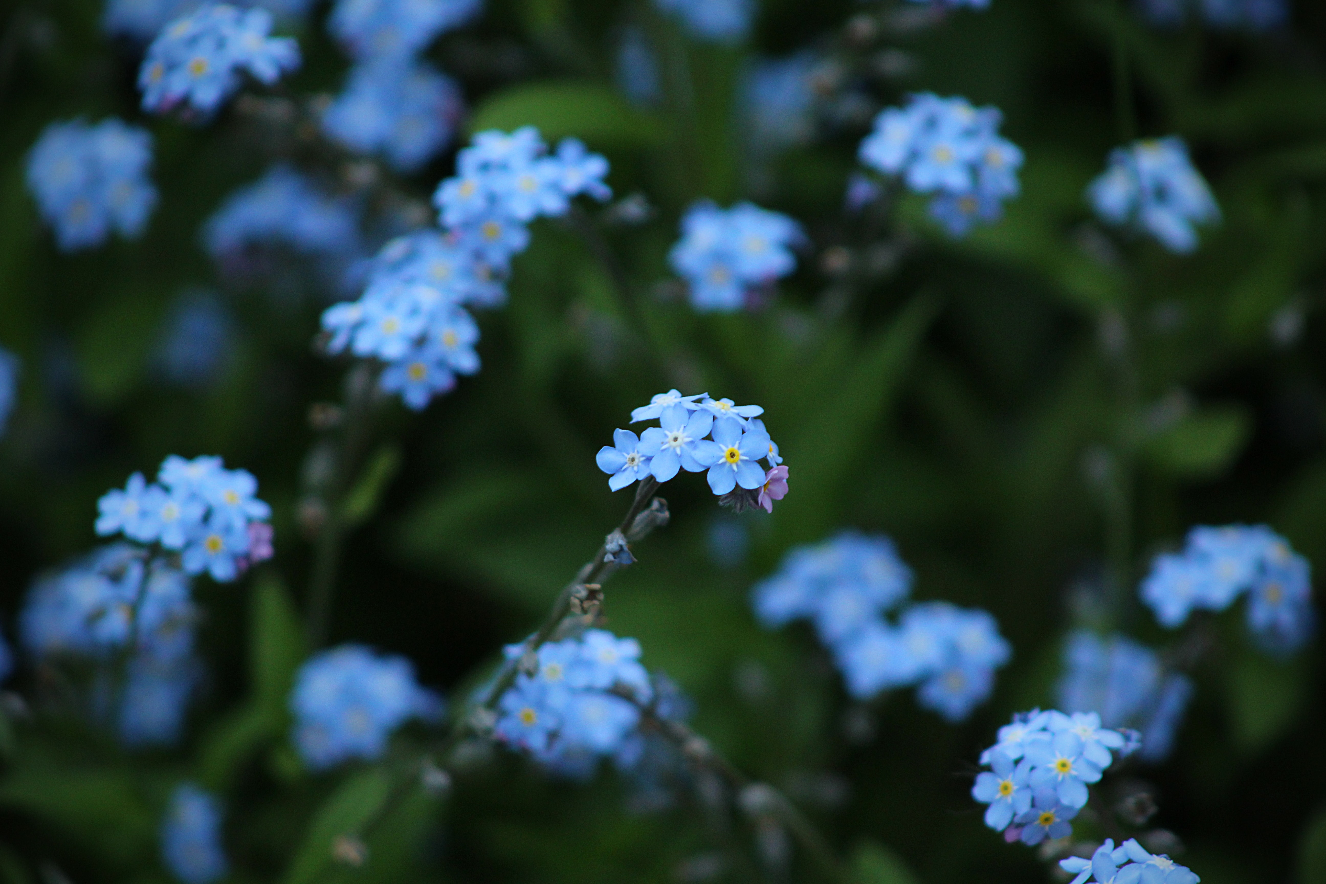 2022 is the Year To Be Pretty in Periwinkle