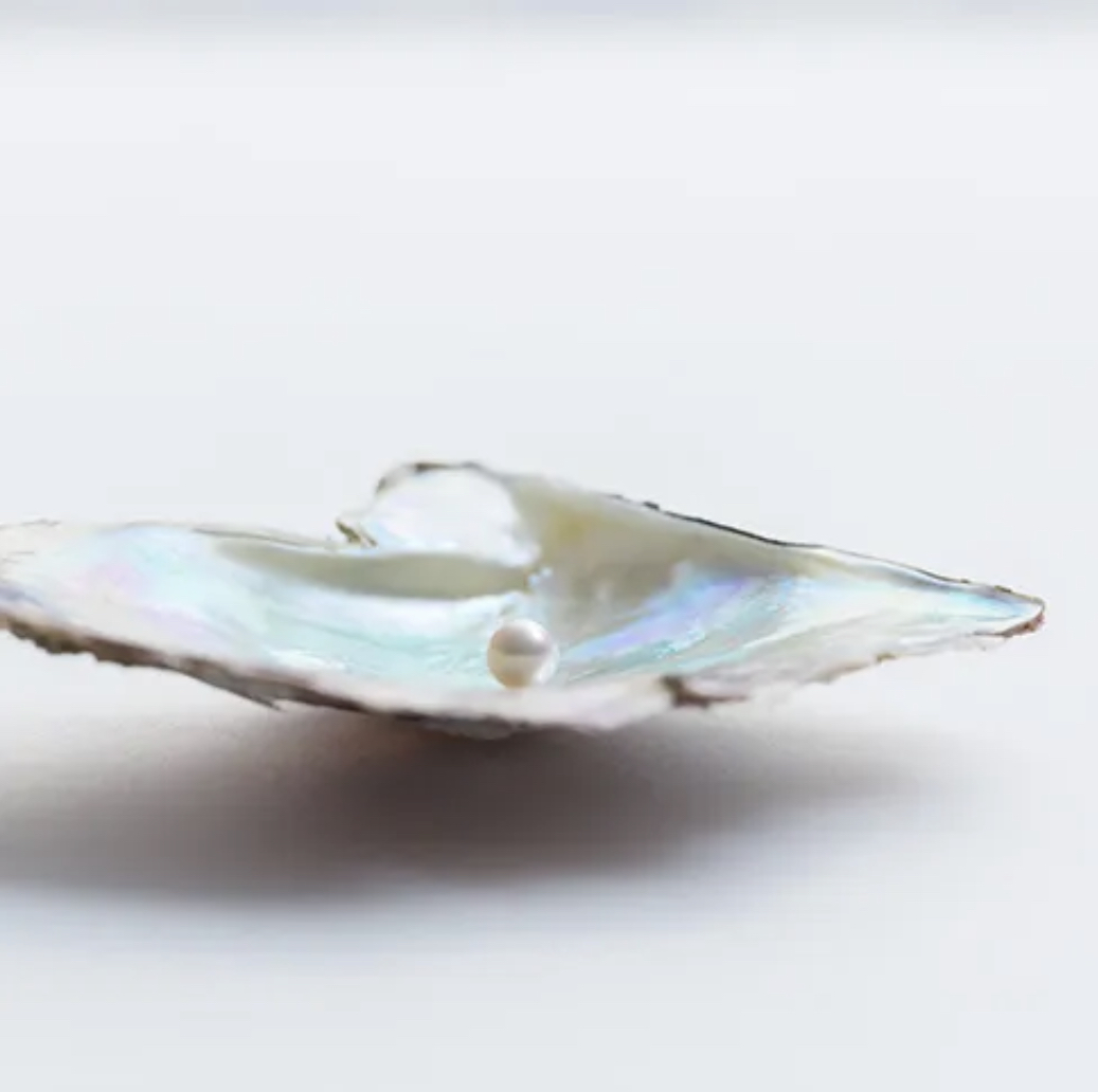 Pearl in Oyster via Mikimoto