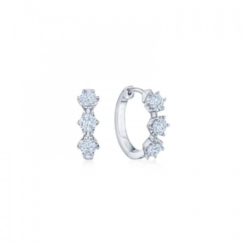 Huggie Hoop Earrings