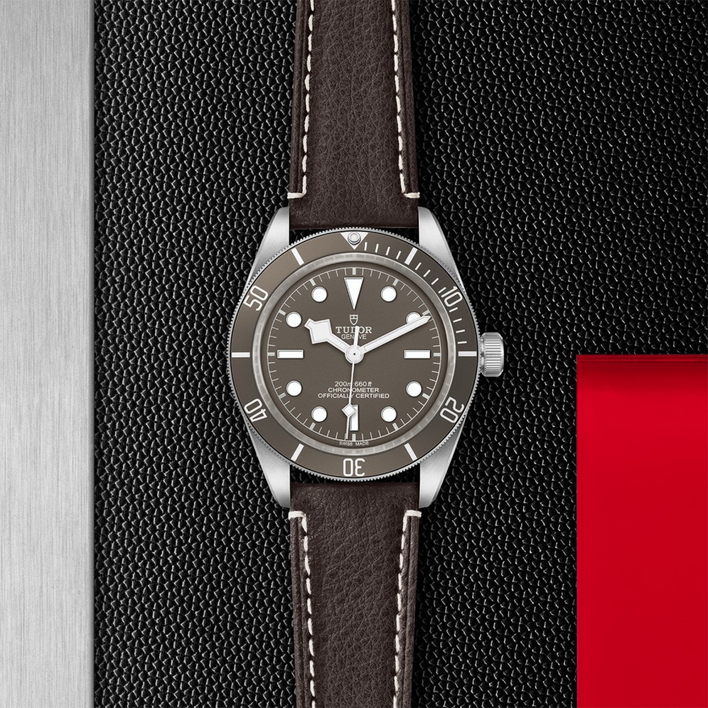 TUDOR Black Bay 58 Watch - M79010SG-0001 at Deutsch Fine Jewelry