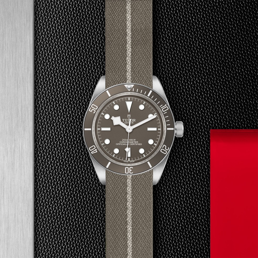 TUDOR Black Bay 58 Watch - M79010SG-0002 at Deutsch Fine Jewelry