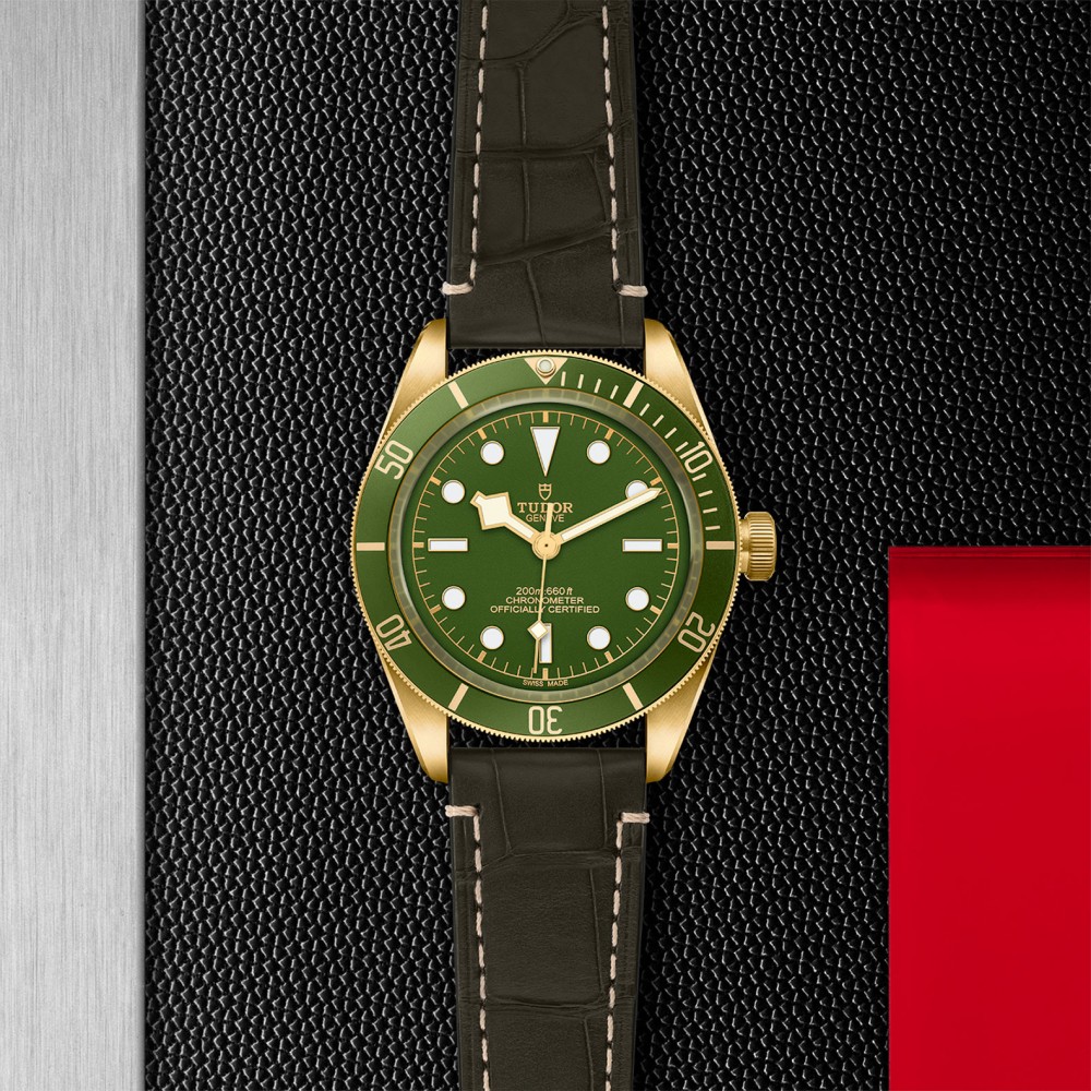 TUDOR Black Bay 58 Watch - M79018V-0001 at Deutsch Fine Jewelry