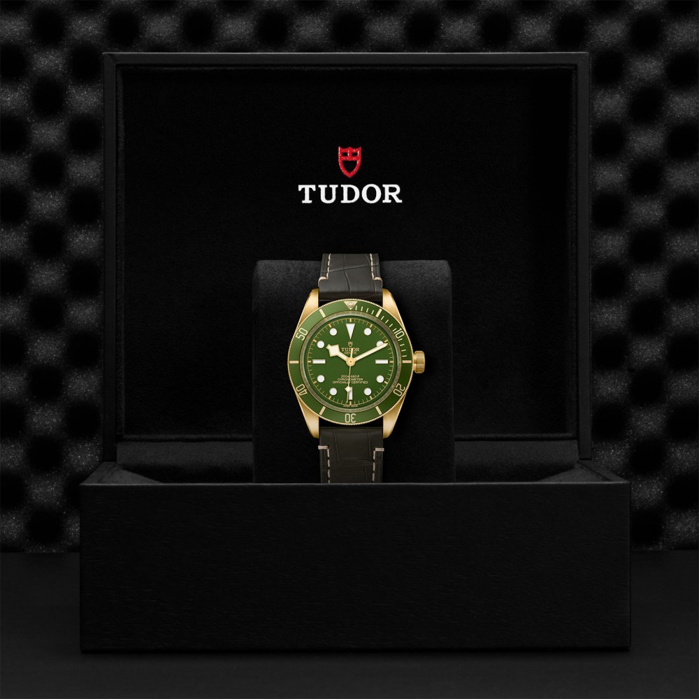 TUDOR Black Bay 58 Watch - M79018V-0001 at Deutsch Fine Jewelry