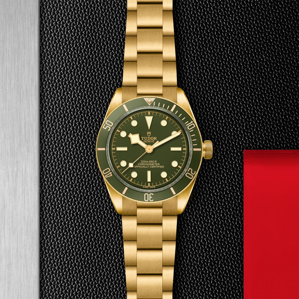 TUDOR Black Bay 58 Watch - M79018V-0006 at Deutsch Fine Jewelry