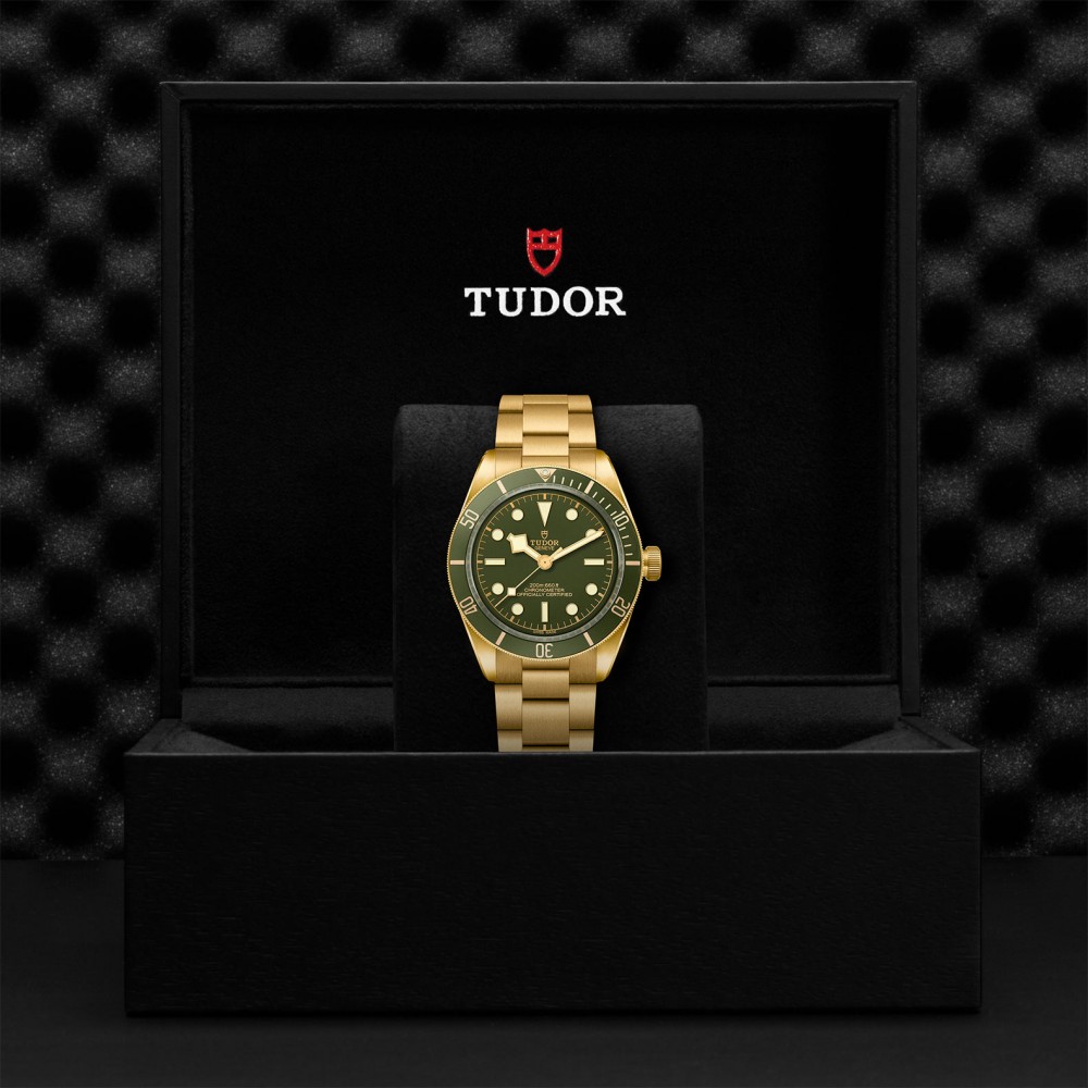 TUDOR Black Bay 58 Watch - M79018V-0006 at Deutsch Fine Jewelry