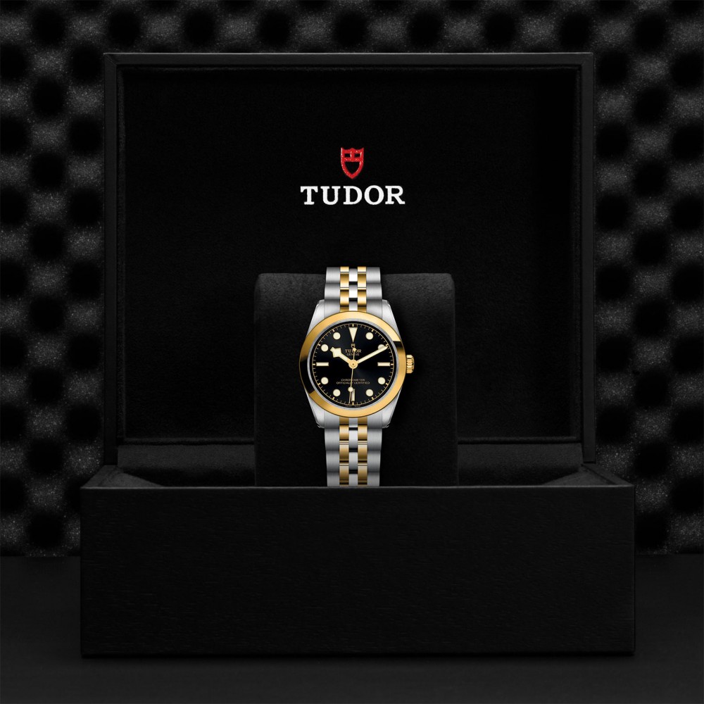TUDOR Black Bay 31/36/39/41 S&G Watch - M79603-0001 at Deutsch Fine Jewelry