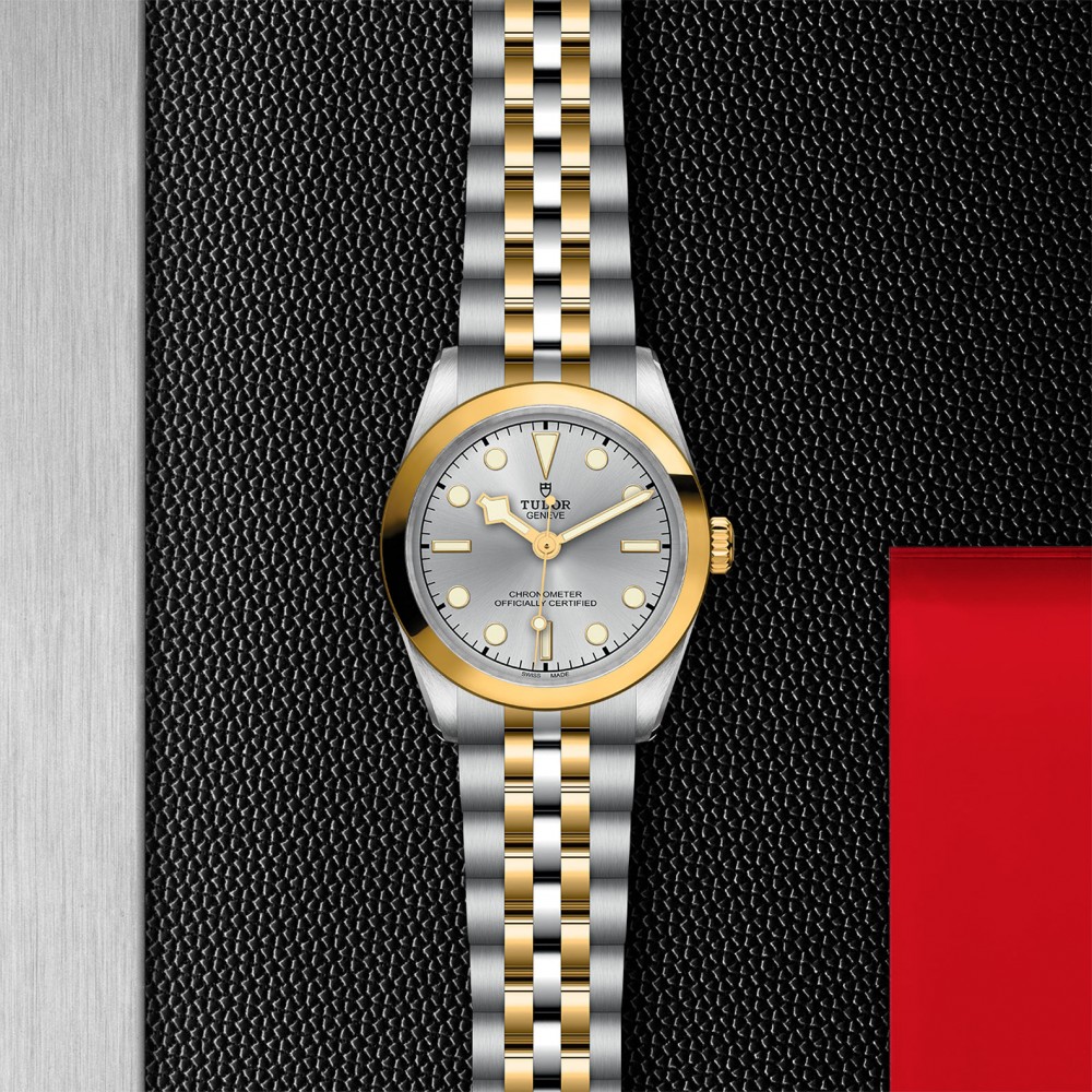 TUDOR Black Bay 31/36/39/41 S&G Watch - M79603-0002 at Deutsch Fine Jewelry