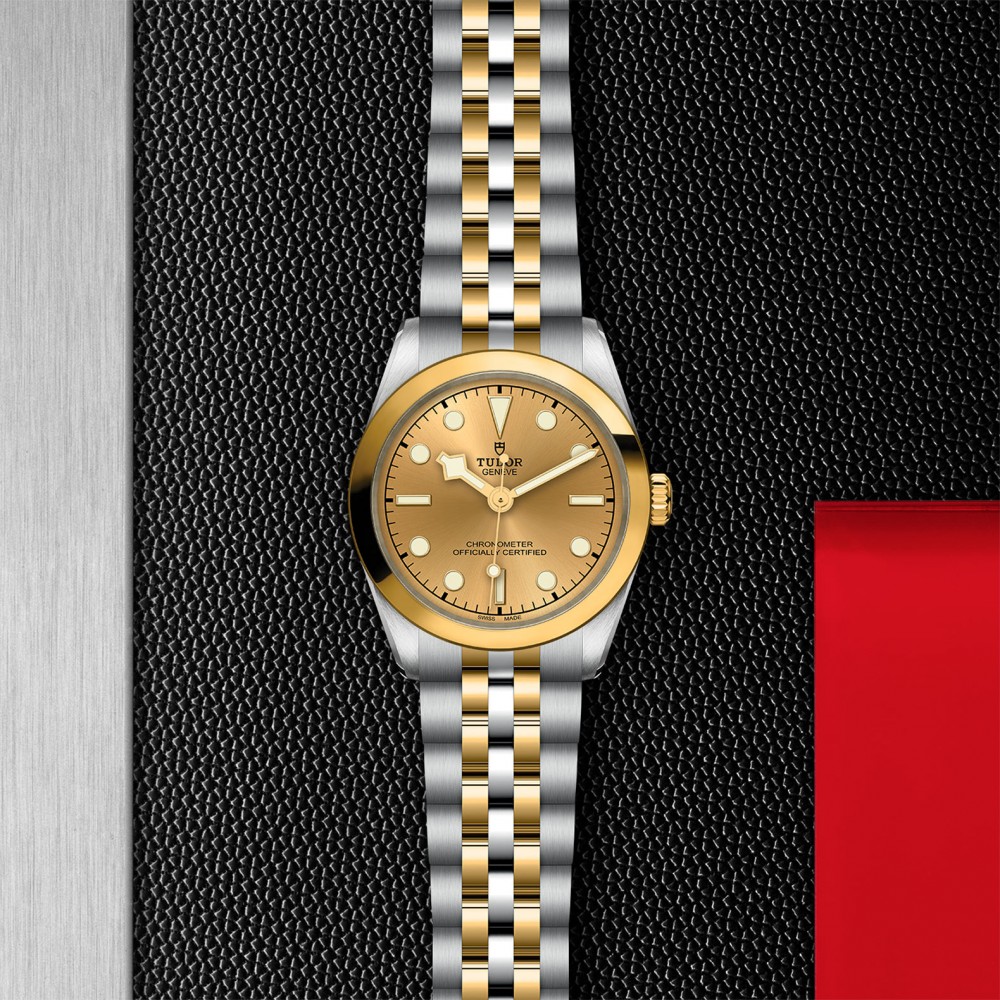 TUDOR Black Bay 31/36/39/41 S&G Watch - M79603-0005 at Deutsch Fine Jewelry