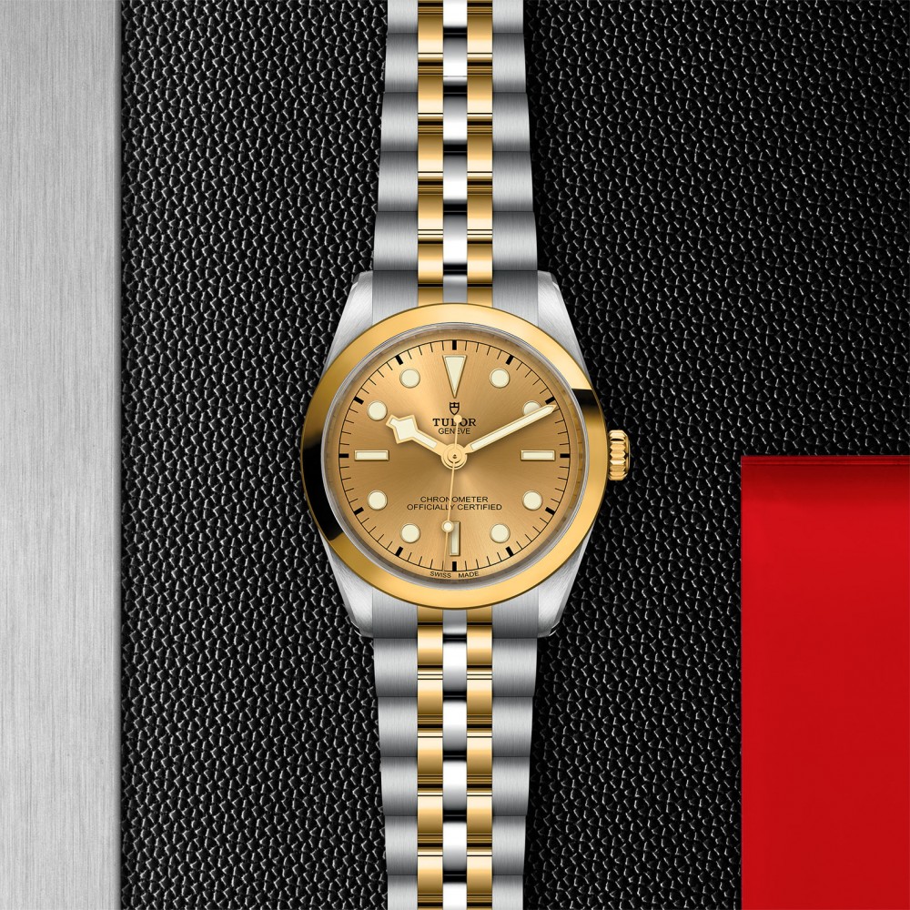 TUDOR Black Bay 31/36/39/41 S&G Watch - M79643-0005 at Deutsch Fine Jewelry