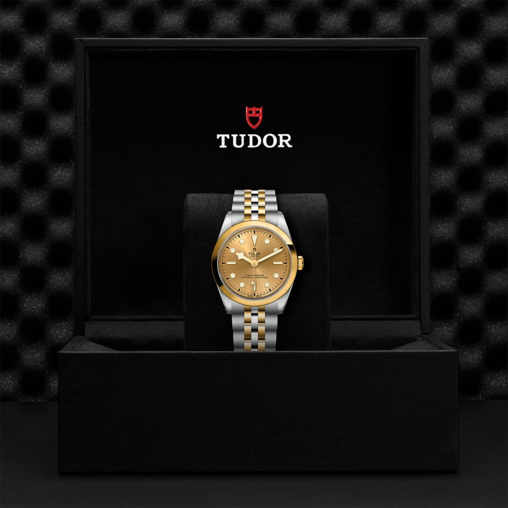 TUDOR Black Bay 31/36/39/41 S&G Watch - M79643-0005 at Deutsch Fine Jewelry