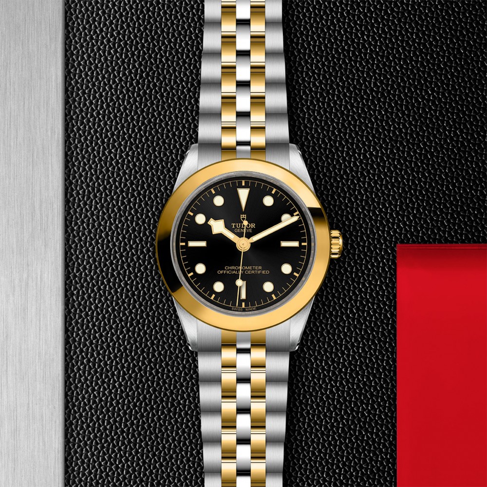 TUDOR Black Bay 31/36/39/41 S&G Watch - M79663-0001 at Deutsch Fine Jewelry