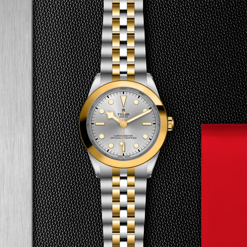 TUDOR Black Bay 31/36/39/41 S&G Watch - M79663-0002 at Deutsch Fine Jewelry
