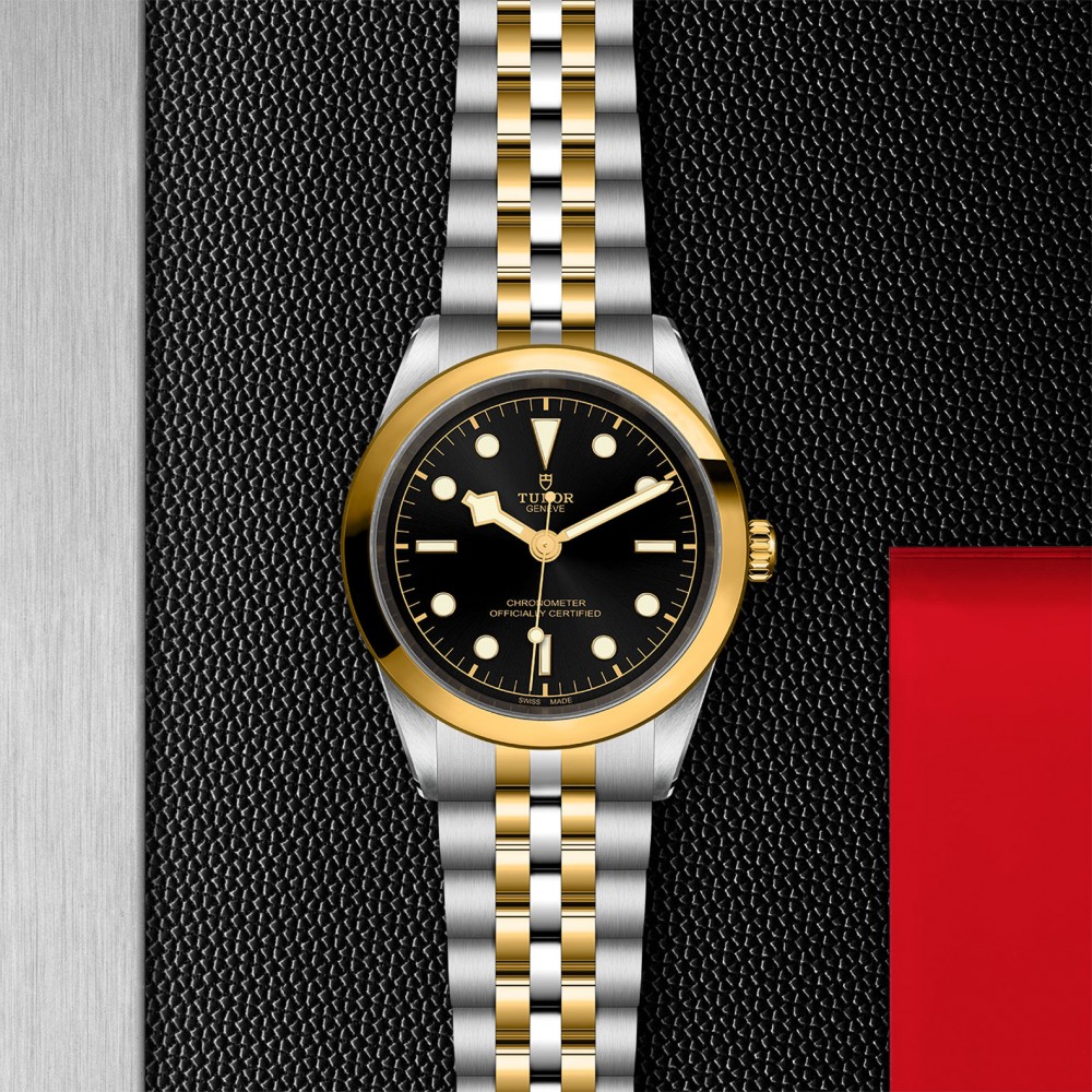 TUDOR Black Bay 31/36/39/41 S&G Watch - M79683-0001 at Deutsch Fine Jewelry