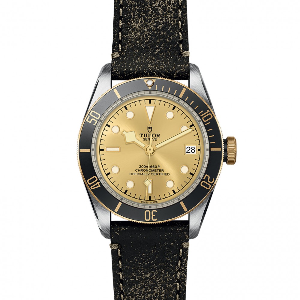 TUDOR Black Bay Watch - M79733N-0003 at Deutsch Fine Jewelry