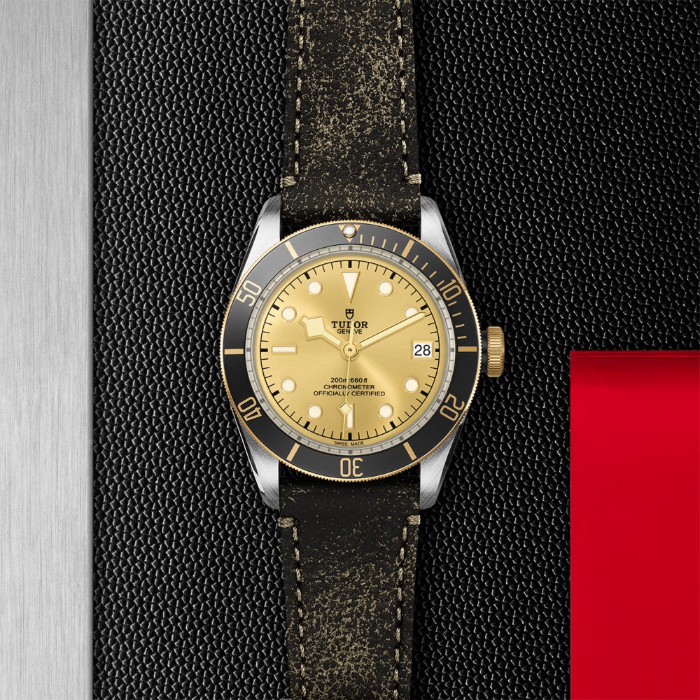 TUDOR Black Bay Watch - M79733N-0003 at Deutsch Fine Jewelry