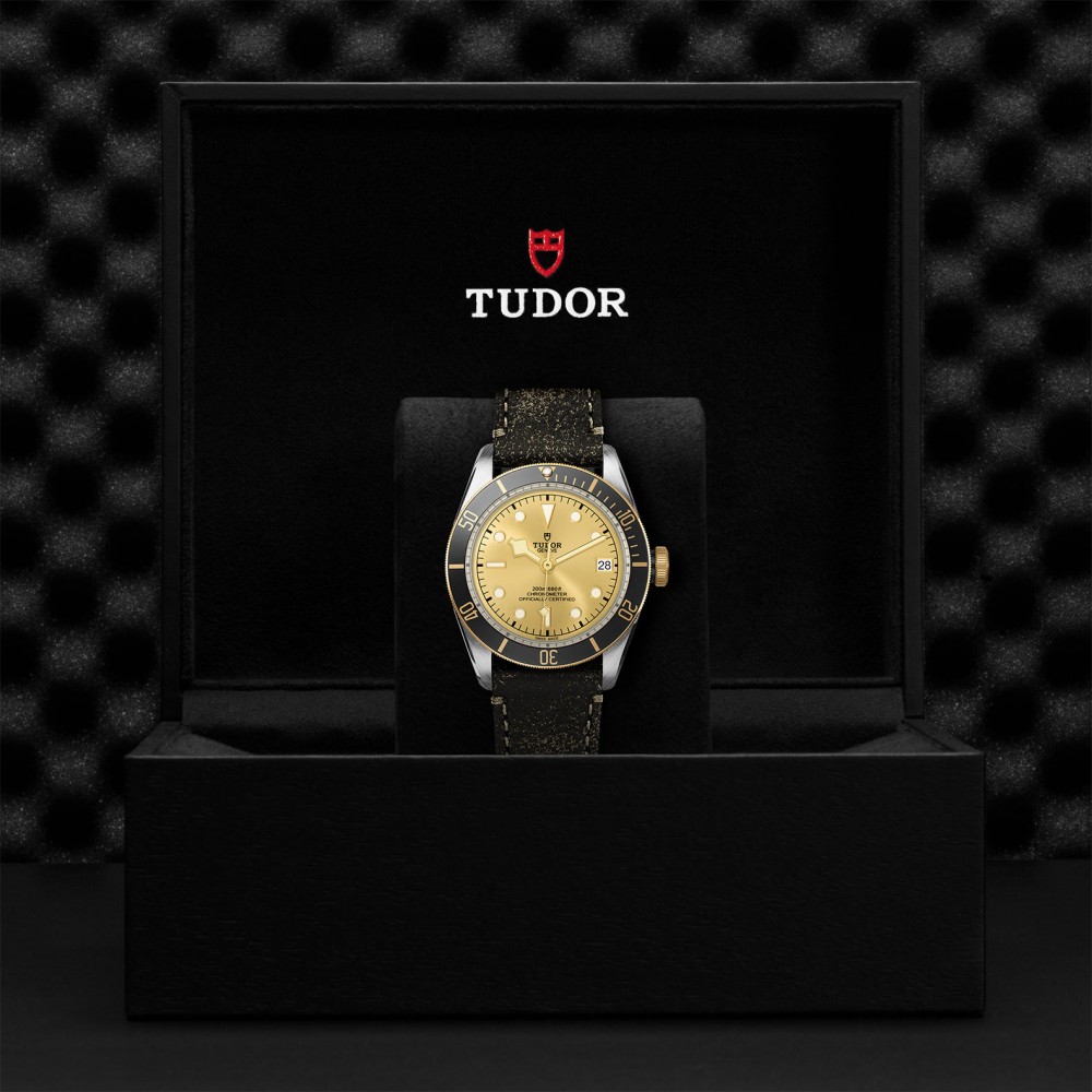 TUDOR Black Bay Watch - M79733N-0003 at Deutsch Fine Jewelry