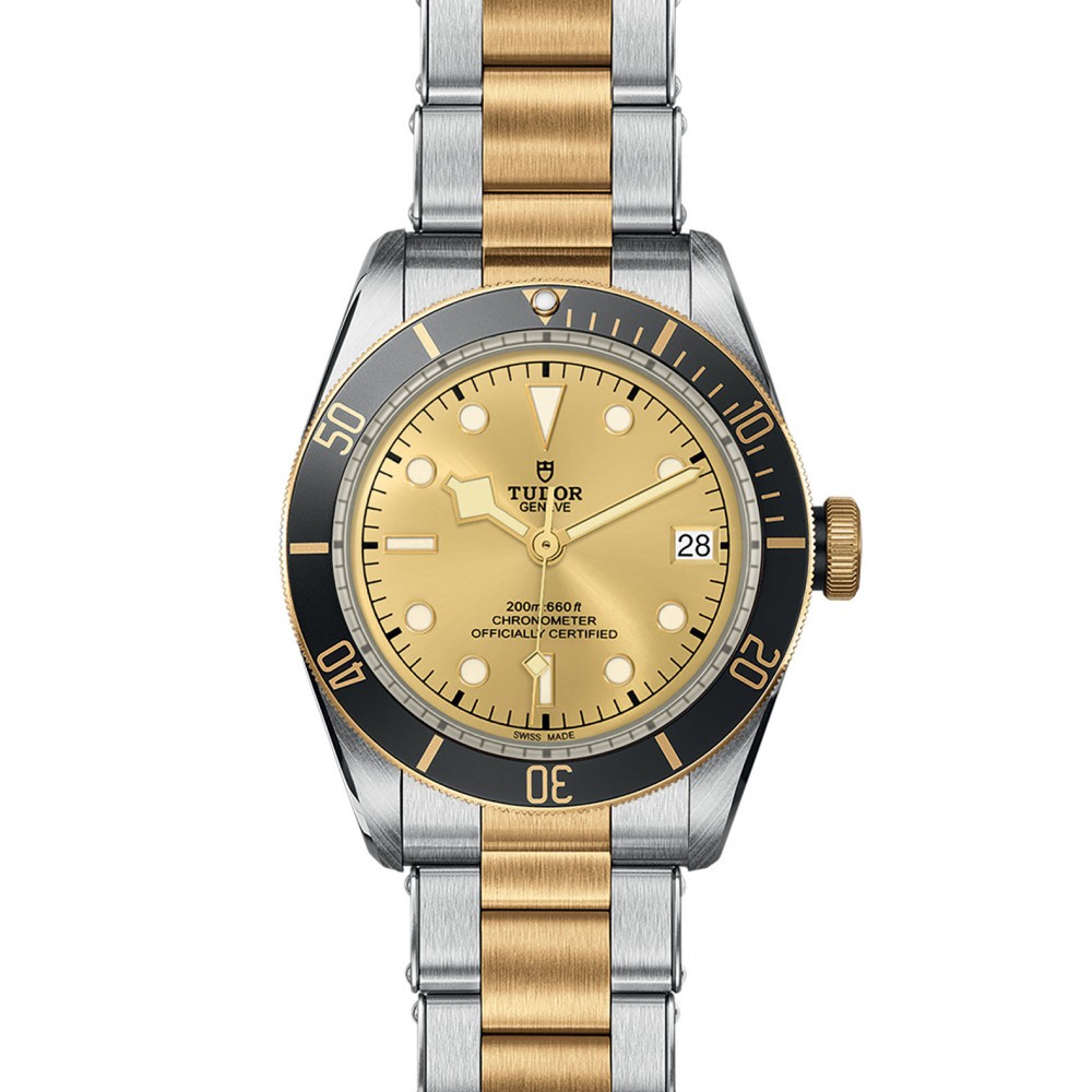 TUDOR Black Bay Watch - M79733N-0004 at Deutsch Fine Jewelry