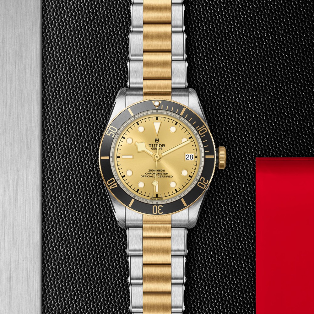 TUDOR Black Bay Watch - M79733N-0004 at Deutsch Fine Jewelry