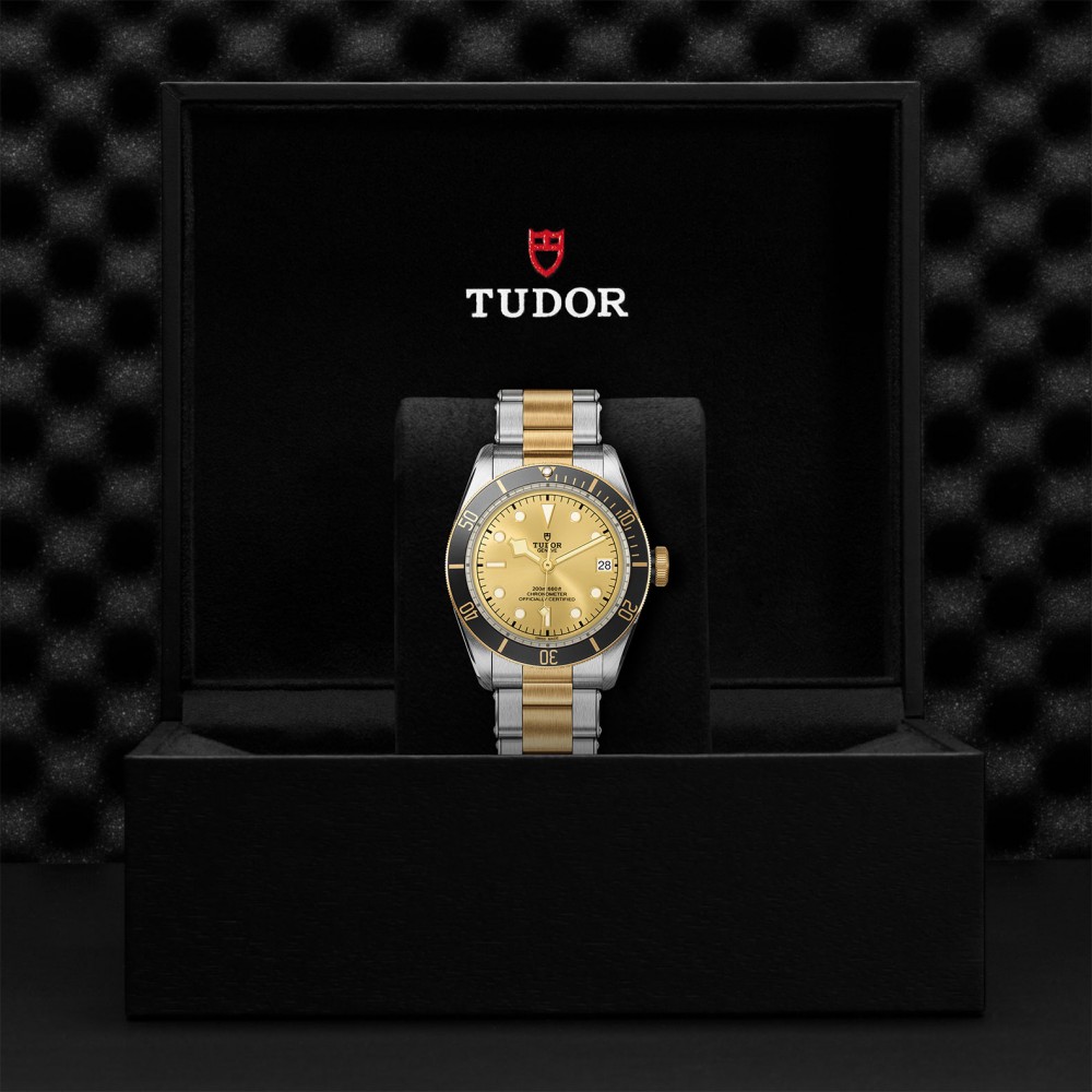 TUDOR Black Bay Watch - M79733N-0004 at Deutsch Fine Jewelry