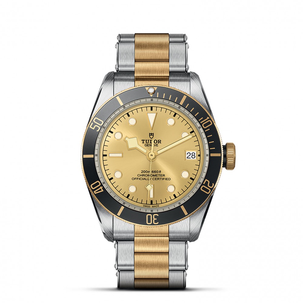 TUDOR Black Bay Watch - M79733N-0004 at Deutsch Fine Jewelry