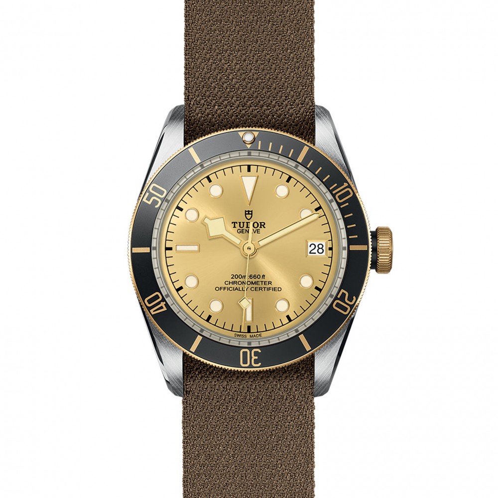 TUDOR Black Bay Watch - M79733N-0006 at Deutsch Fine Jewelry