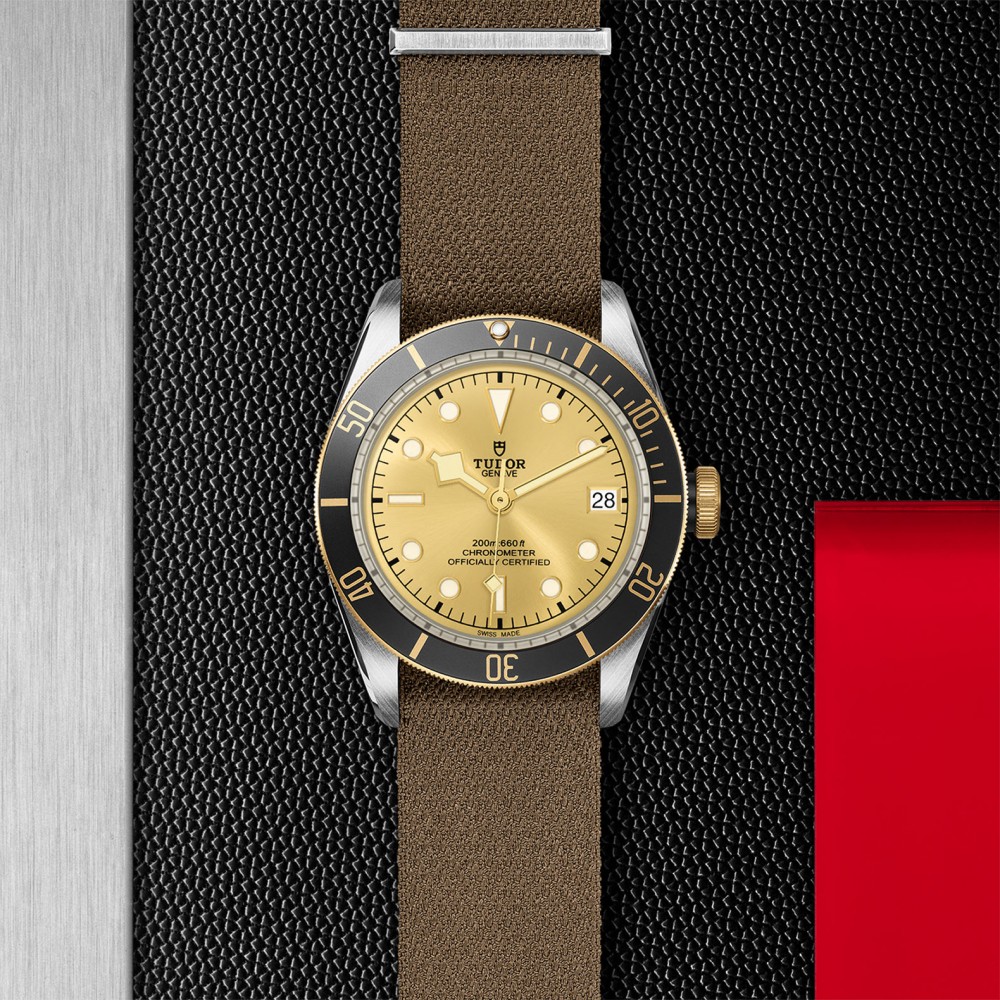 TUDOR Black Bay Watch - M79733N-0006 at Deutsch Fine Jewelry