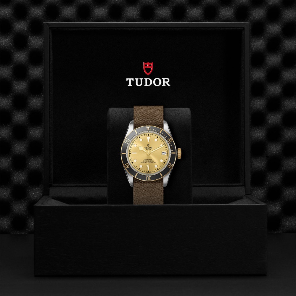 TUDOR Black Bay Watch - M79733N-0006 at Deutsch Fine Jewelry