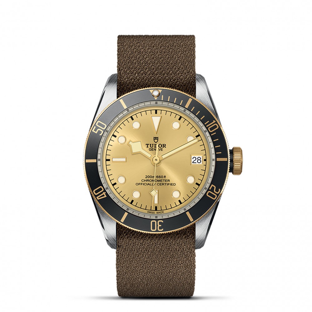 TUDOR Black Bay Watch - M79733N-0006 at Deutsch Fine Jewelry