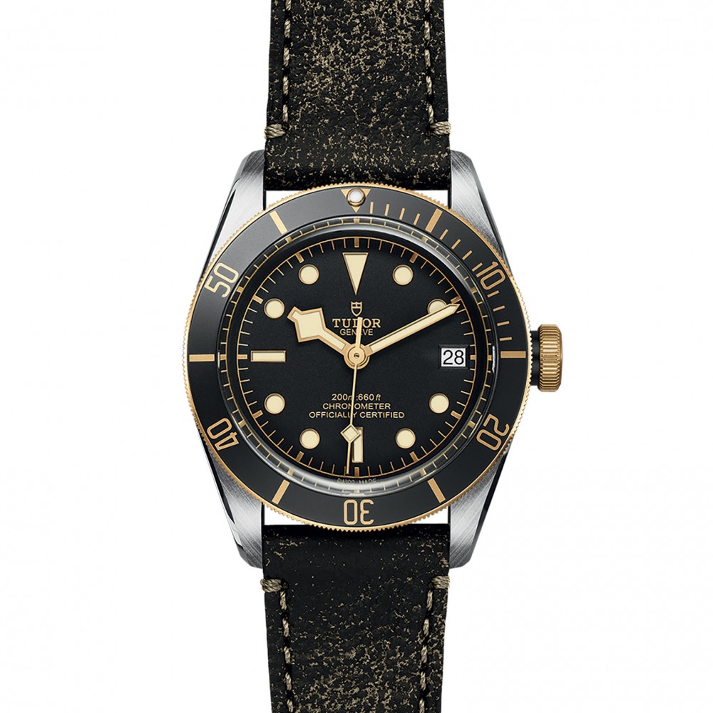 TUDOR Black Bay Watch - M79733N-0007 at Deutsch Fine Jewelry