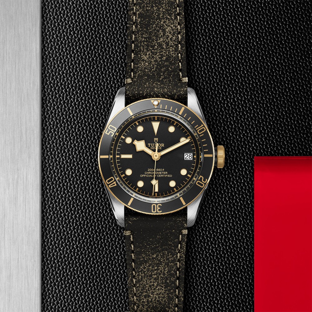 TUDOR Black Bay Watch - M79733N-0007 at Deutsch Fine Jewelry