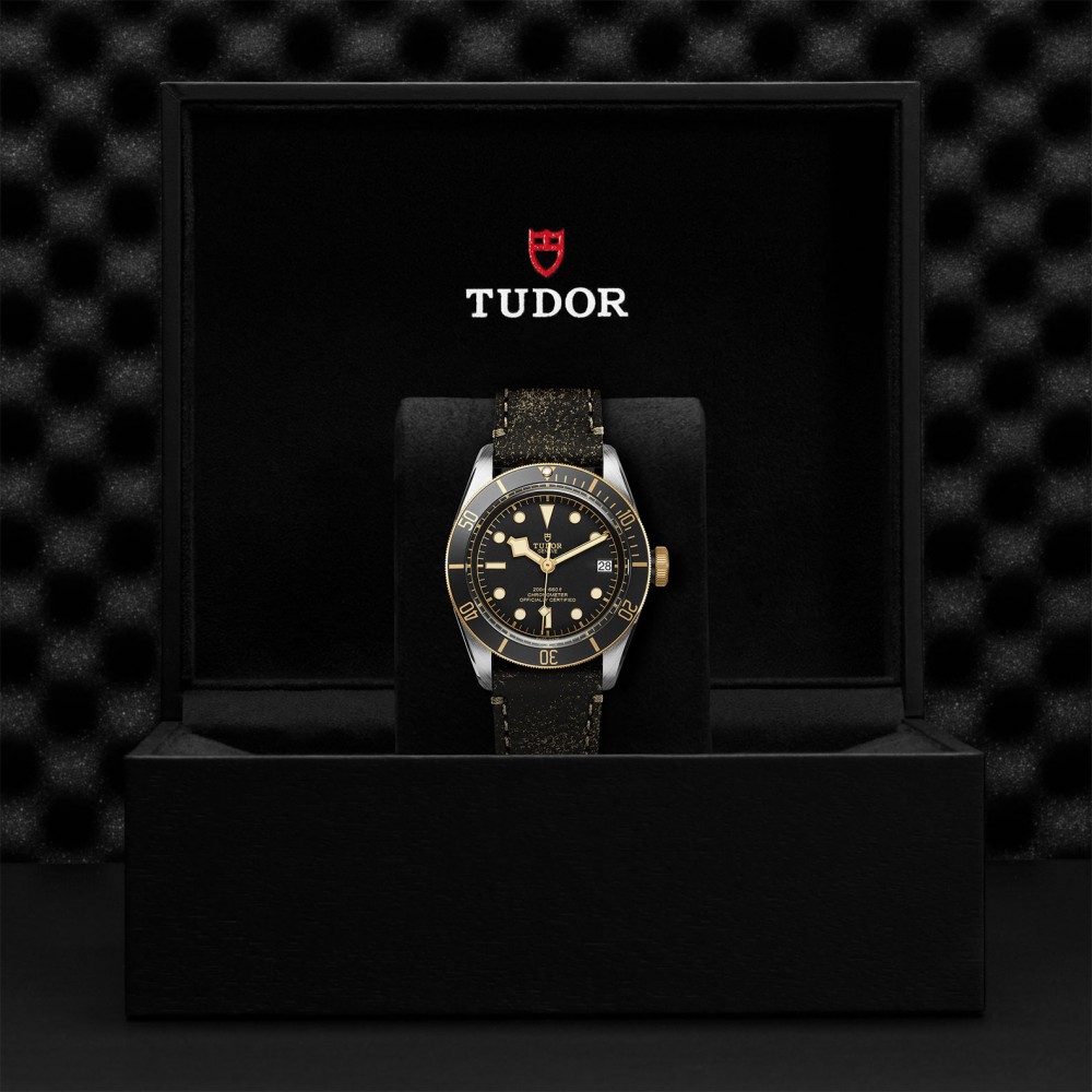 TUDOR Black Bay Watch - M79733N-0007 at Deutsch Fine Jewelry