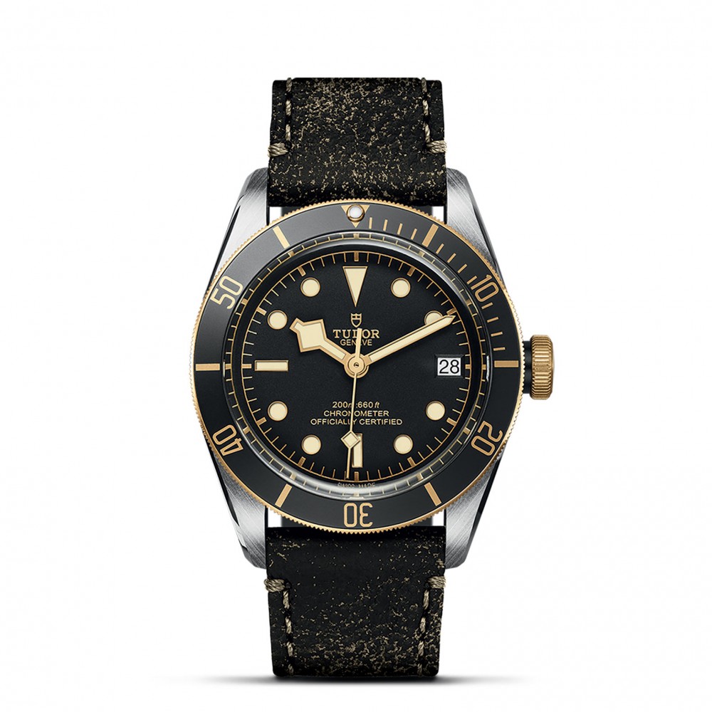 TUDOR Black Bay Watch - M79733N-0007 at Deutsch Fine Jewelry