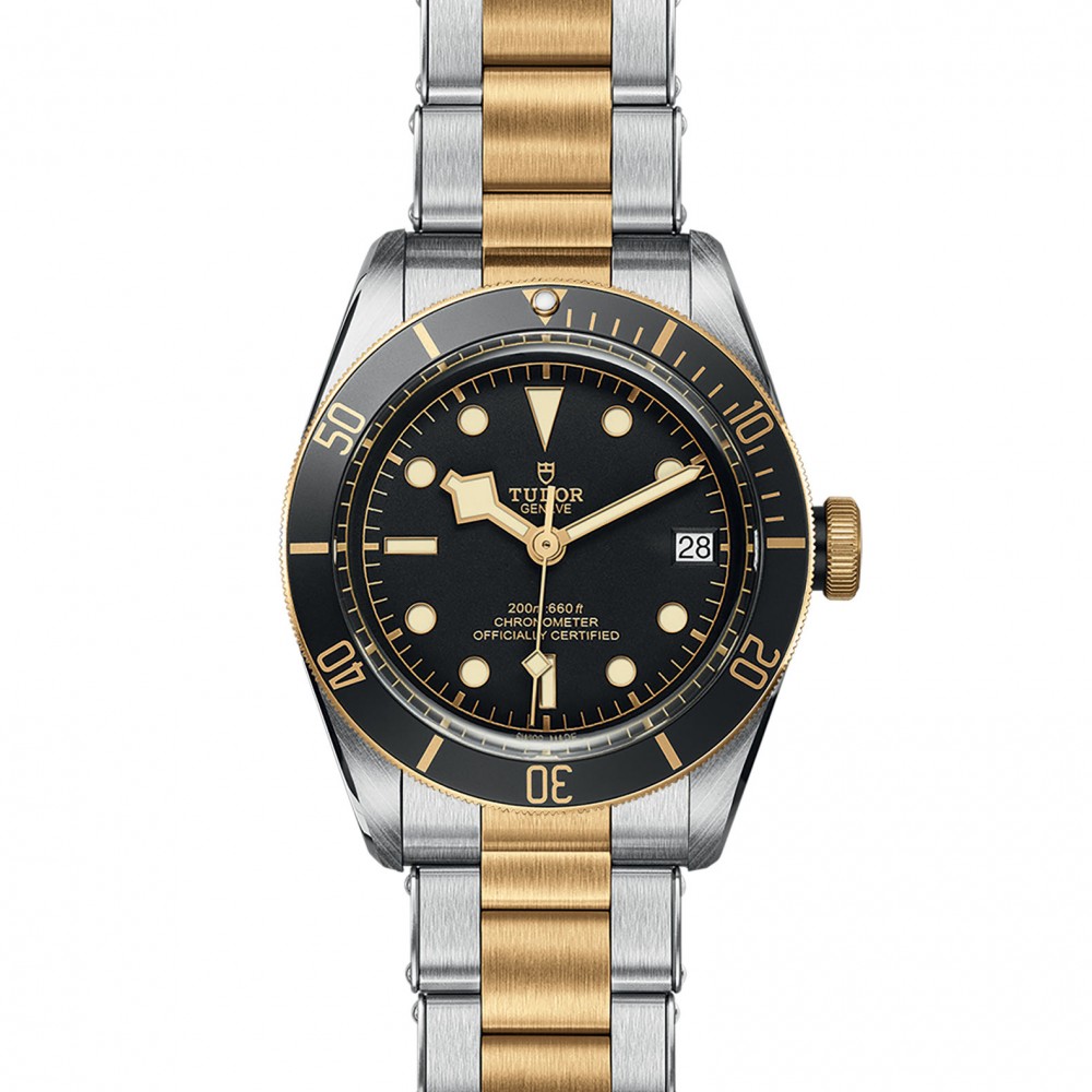 TUDOR Black Bay Watch - M79733N-0008 at Deutsch Fine Jewelry