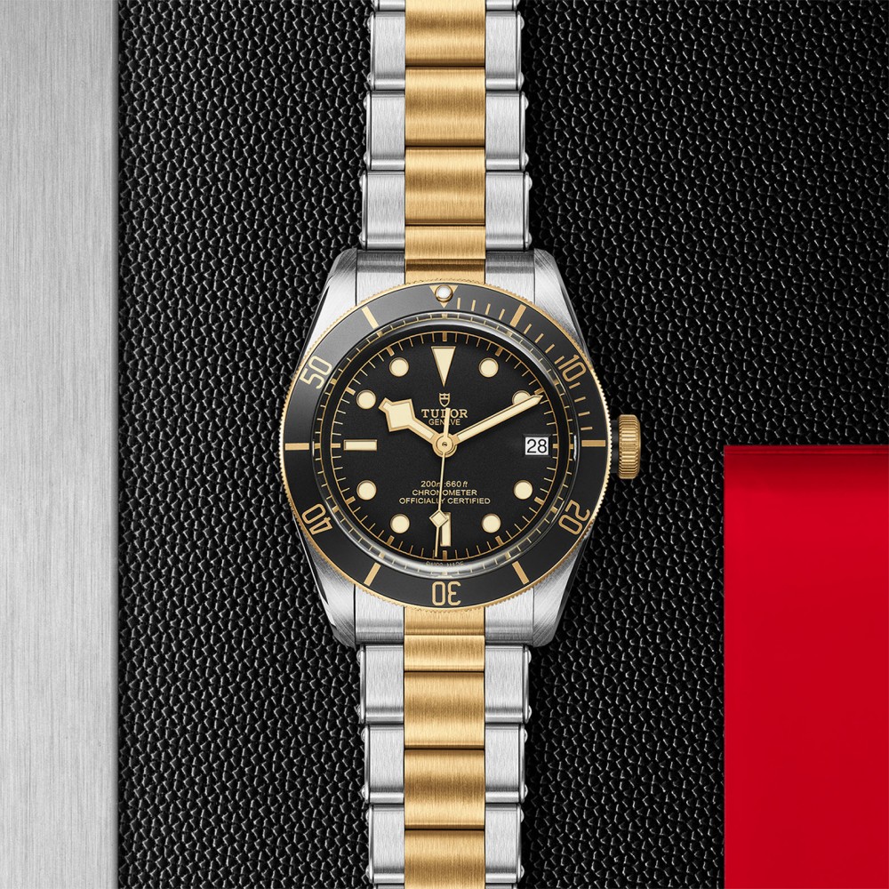 TUDOR Black Bay Watch - M79733N-0008 at Deutsch Fine Jewelry