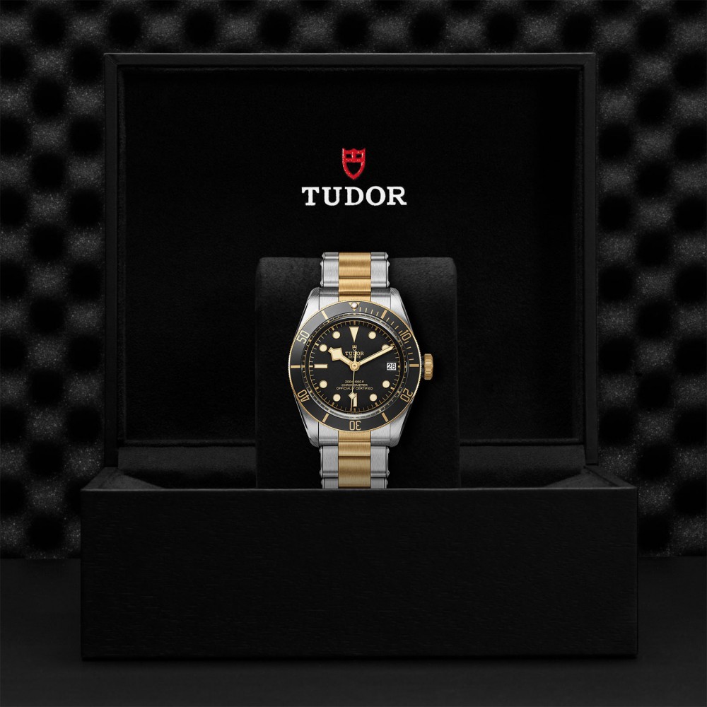TUDOR Black Bay Watch - M79733N-0008 at Deutsch Fine Jewelry