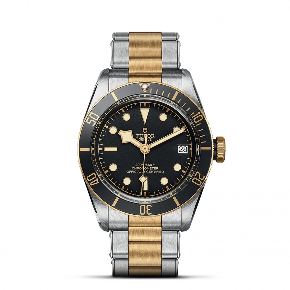 TUDOR Black Bay Watch - M79733N-0008 at Deutsch Fine Jewelry